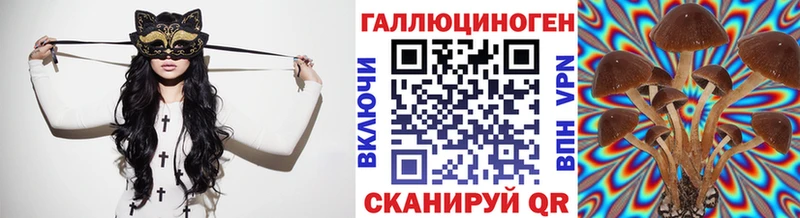 Галлюциногенные грибы Psilocybine cubensis  купить  сайты  Верещагино 