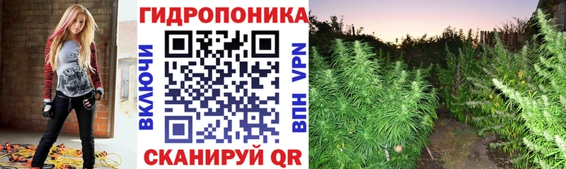 Бошки Шишки LSD WEED Верещагино